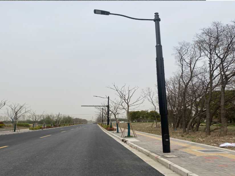 枣阳市上海综合杆 太阳能路灯工程